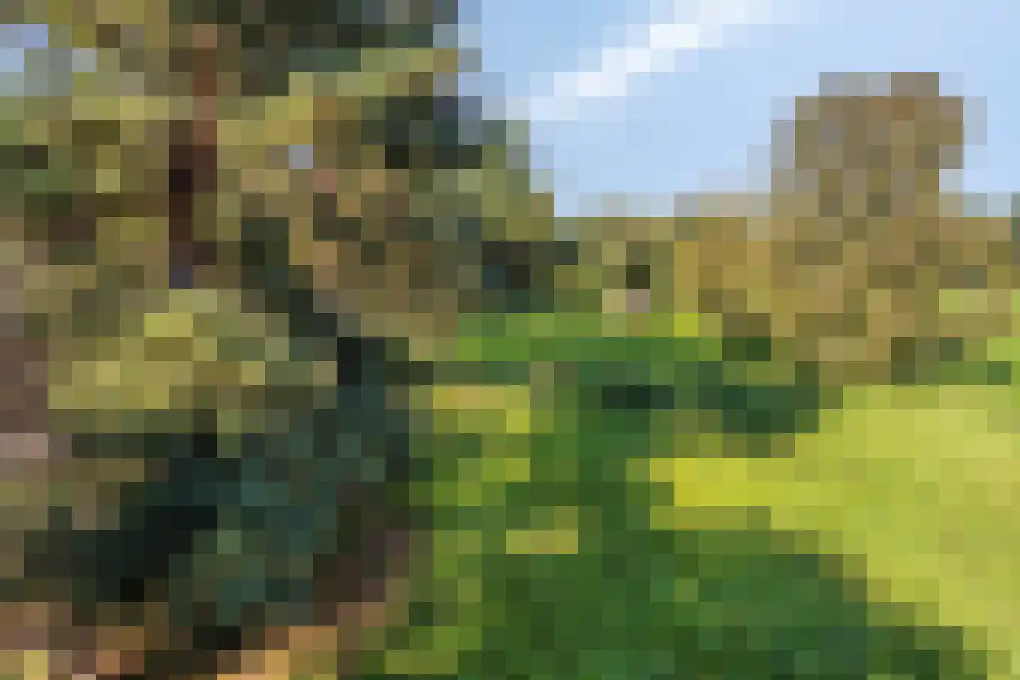 Hofstad 8 Wagenberg thumbnail 89