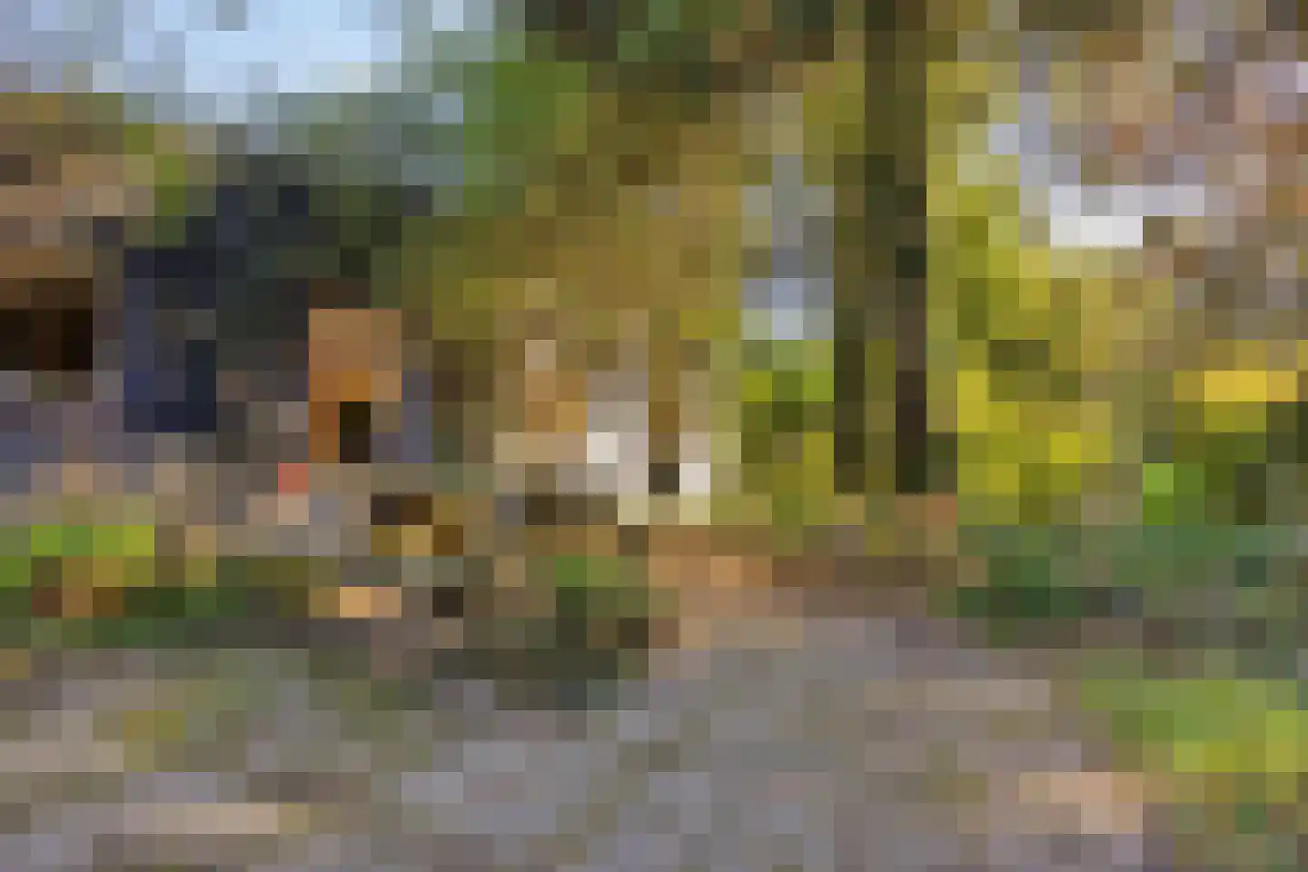 Hofstad 8 Wagenberg thumbnail 9