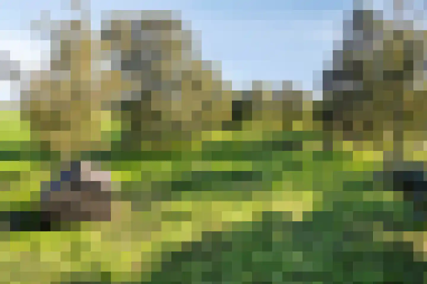 Hofstad 8 Wagenberg thumbnail 90