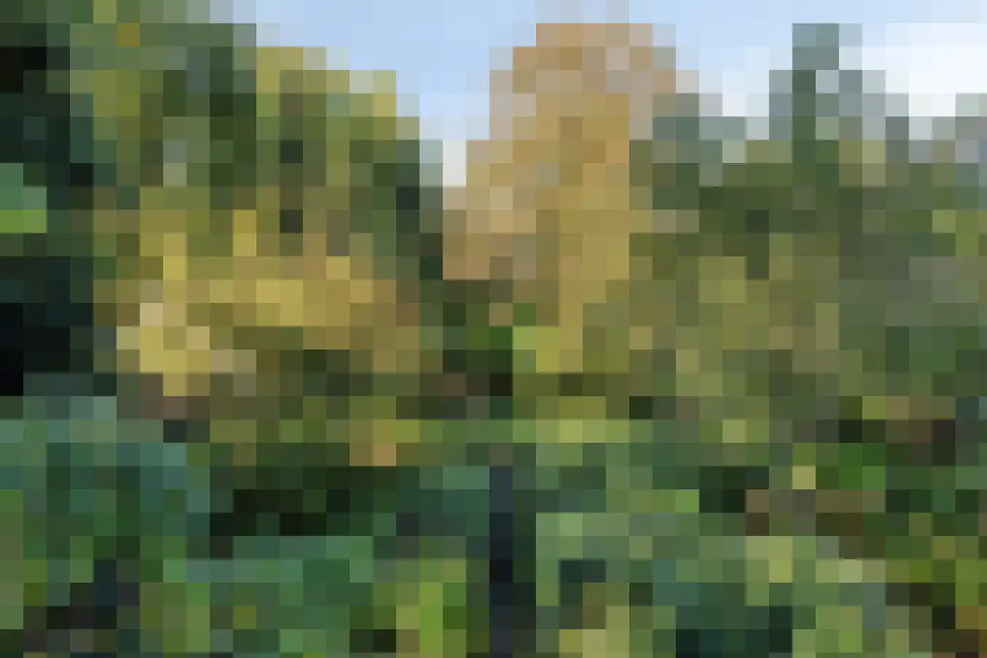 Hofstad 8 Wagenberg thumbnail 91
