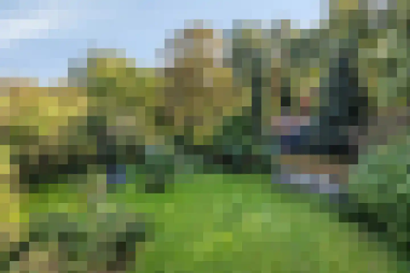 Hofstad 8 Wagenberg thumbnail 93