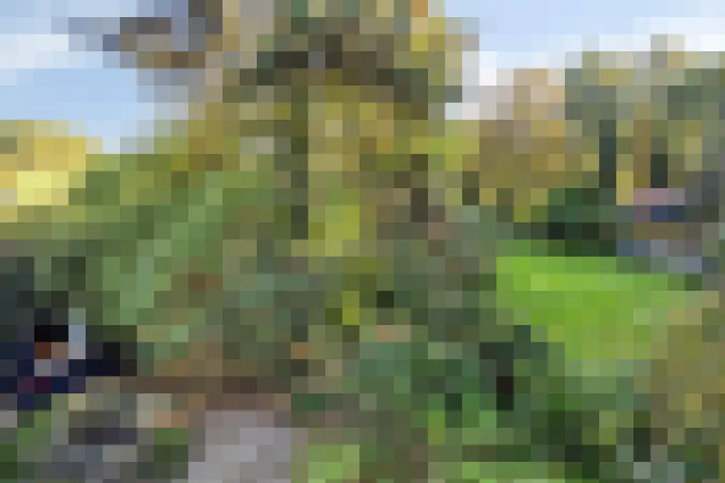 Hofstad 8 Wagenberg thumbnail 94