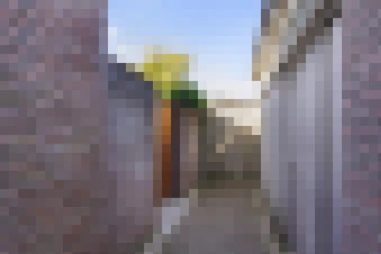 Hofstad 95 Waalwijk thumbnail 28