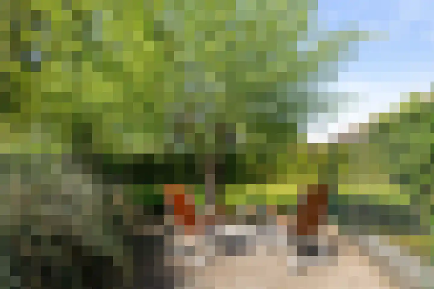 Hofstad 95 Waalwijk thumbnail 5