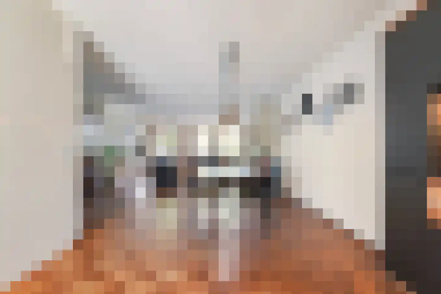 Hofstad 95 Waalwijk thumbnail 7