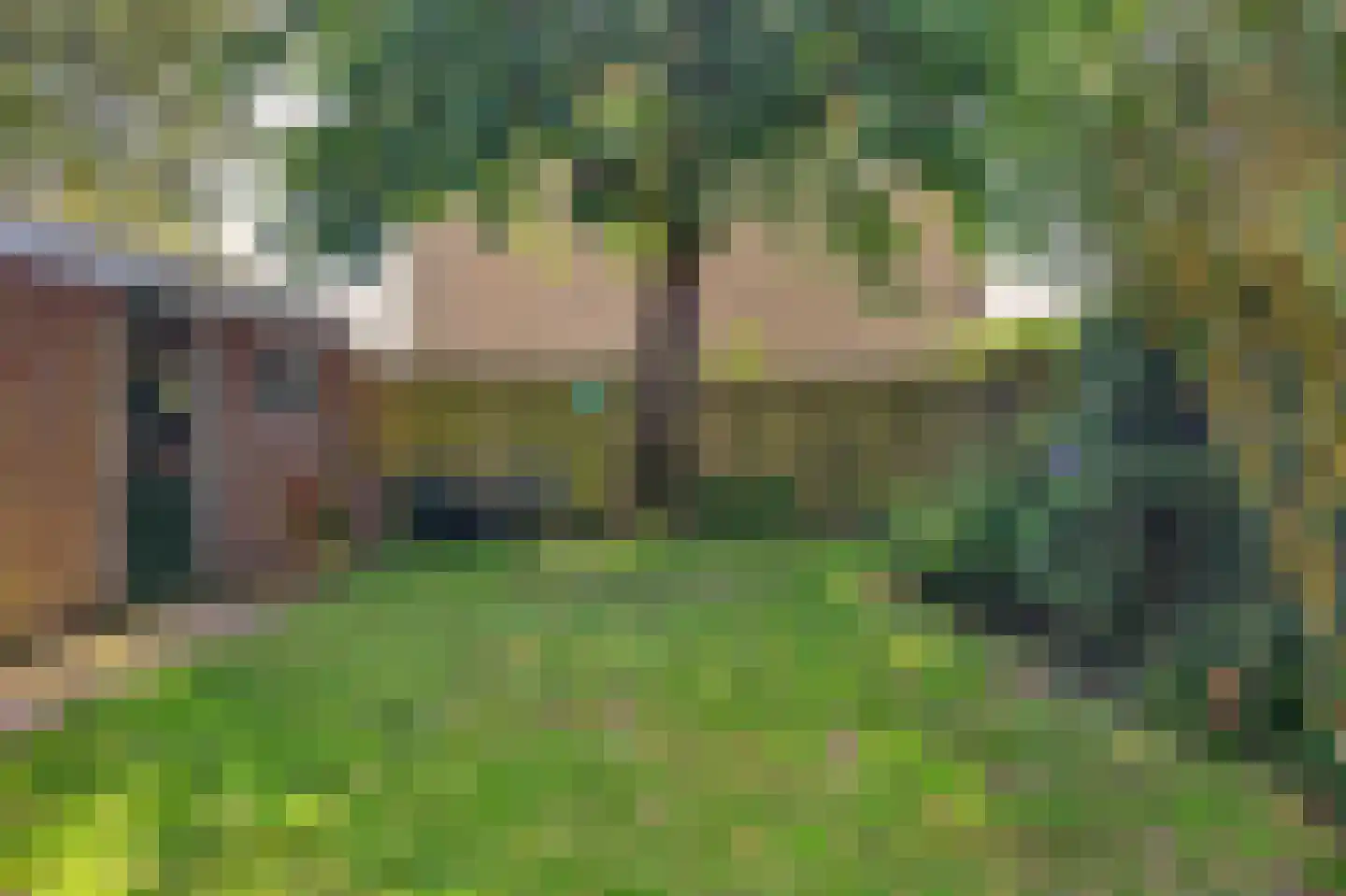 Hofstade 11 Alphen thumbnail 46