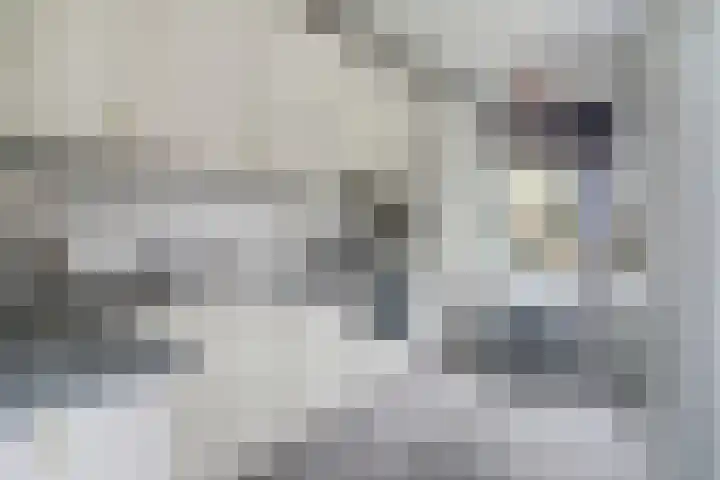 Hofstade 19 Alphen thumbnail 18