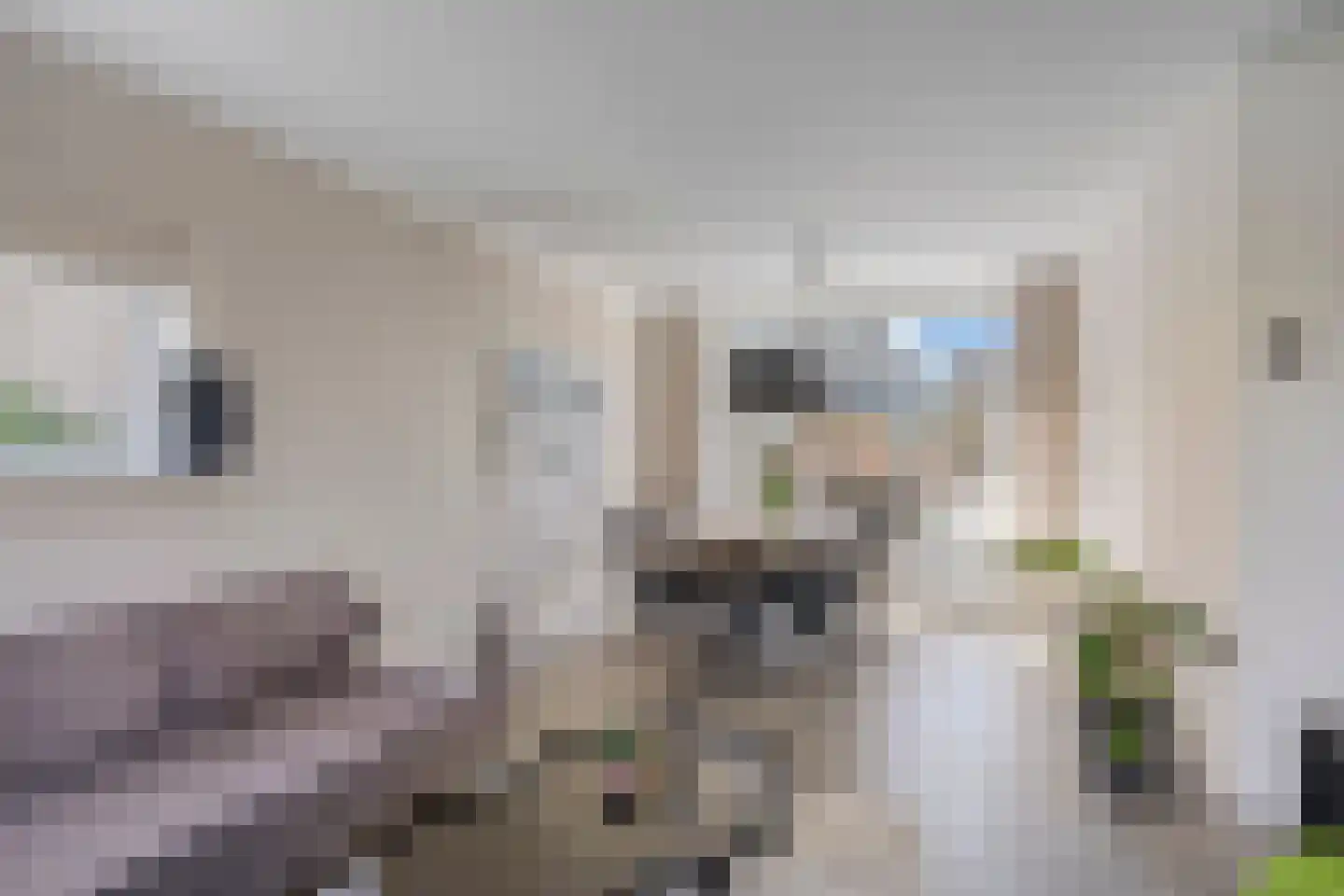 Hofstade 22 Alphen thumbnail 11