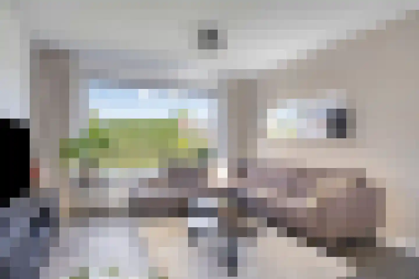 Hofstade 22 Alphen thumbnail 13