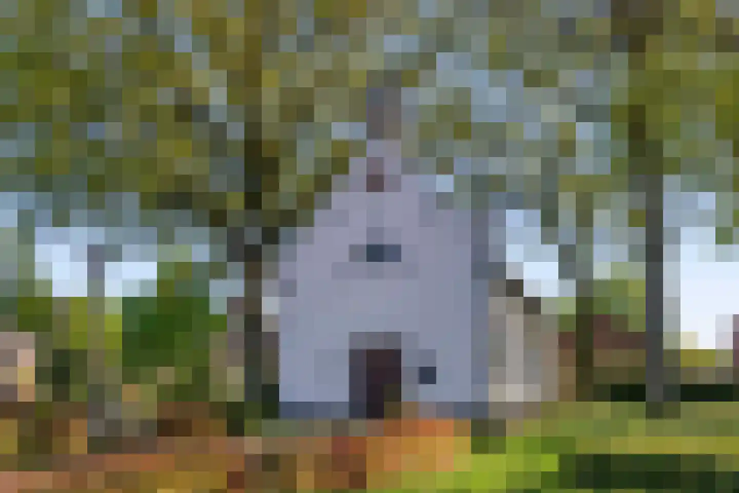 Hofstade 22 Alphen thumbnail 35