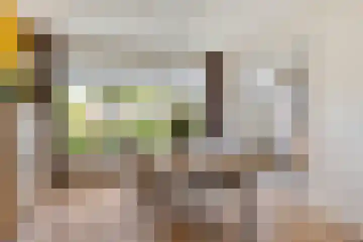 Hofstade 30 Alphen thumbnail 13