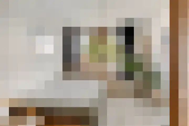 Hofstade 30 Alphen thumbnail 21