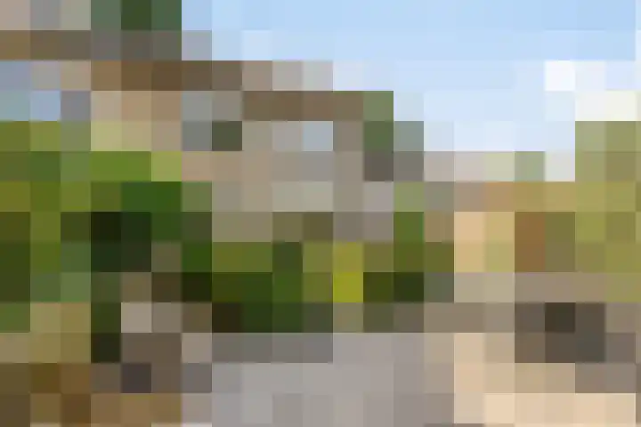 Hofstade 30 Alphen thumbnail 32