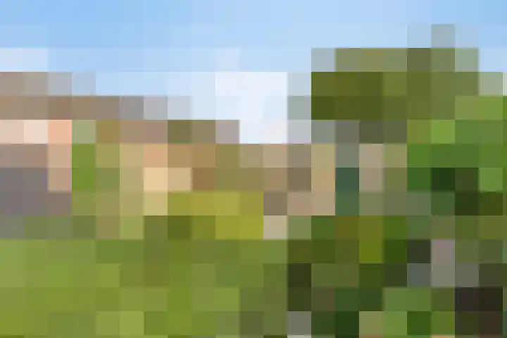 Hofstade 30 Alphen thumbnail 34