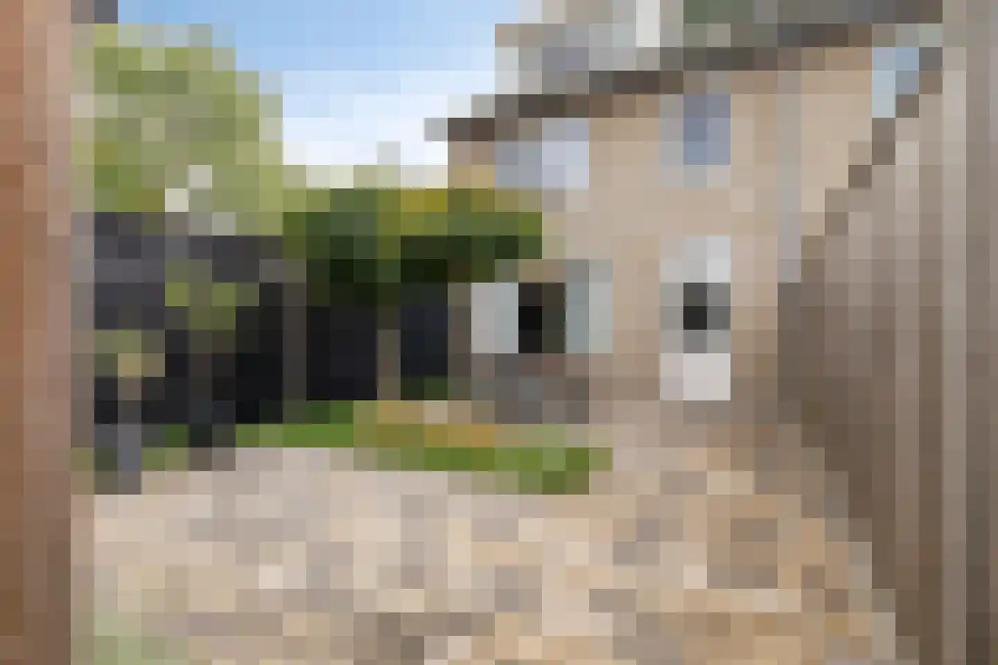 Hofstade 48 Alphen thumbnail 32