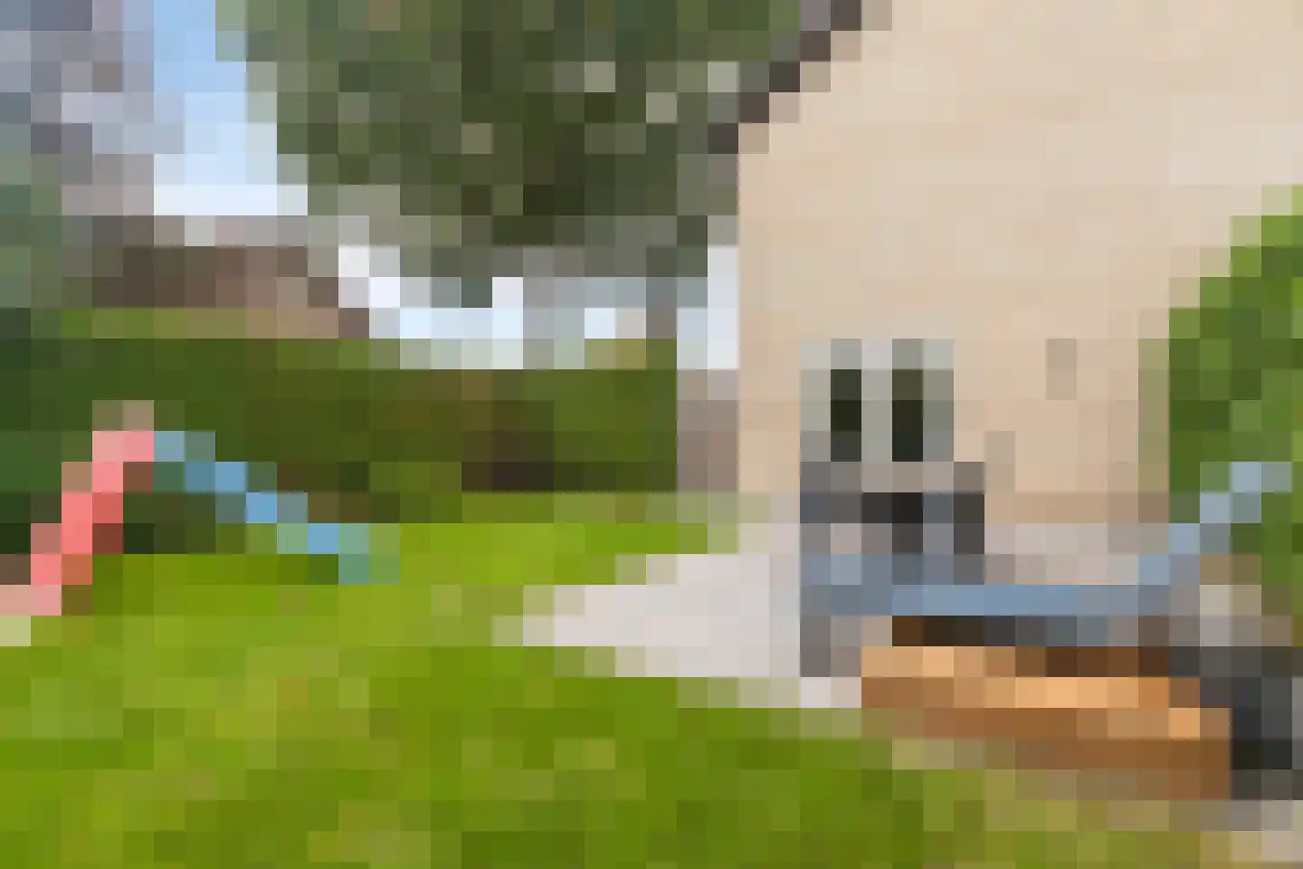 Hofstade 48 Alphen thumbnail 35