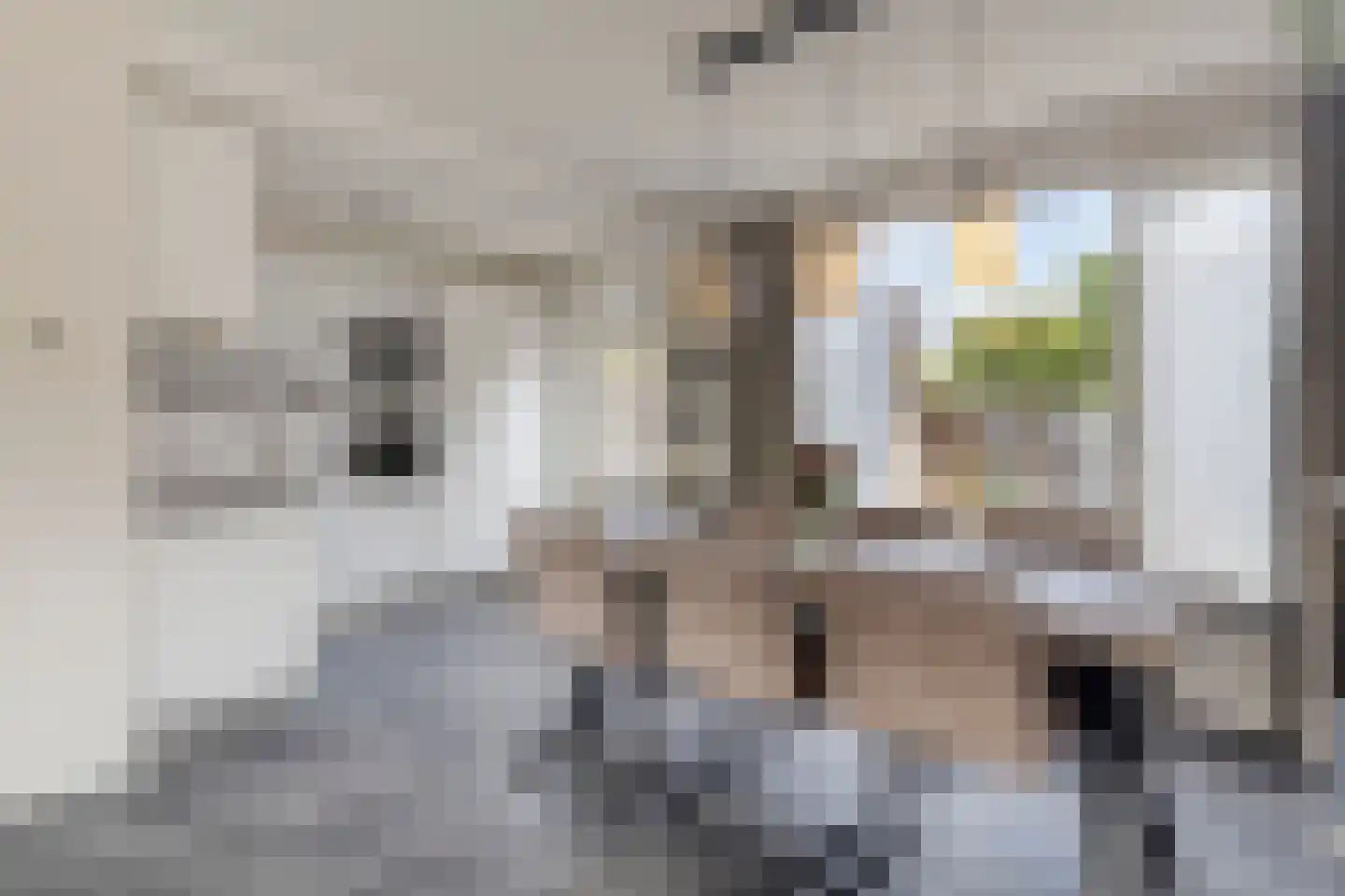 Hofstade 48 Alphen thumbnail 8