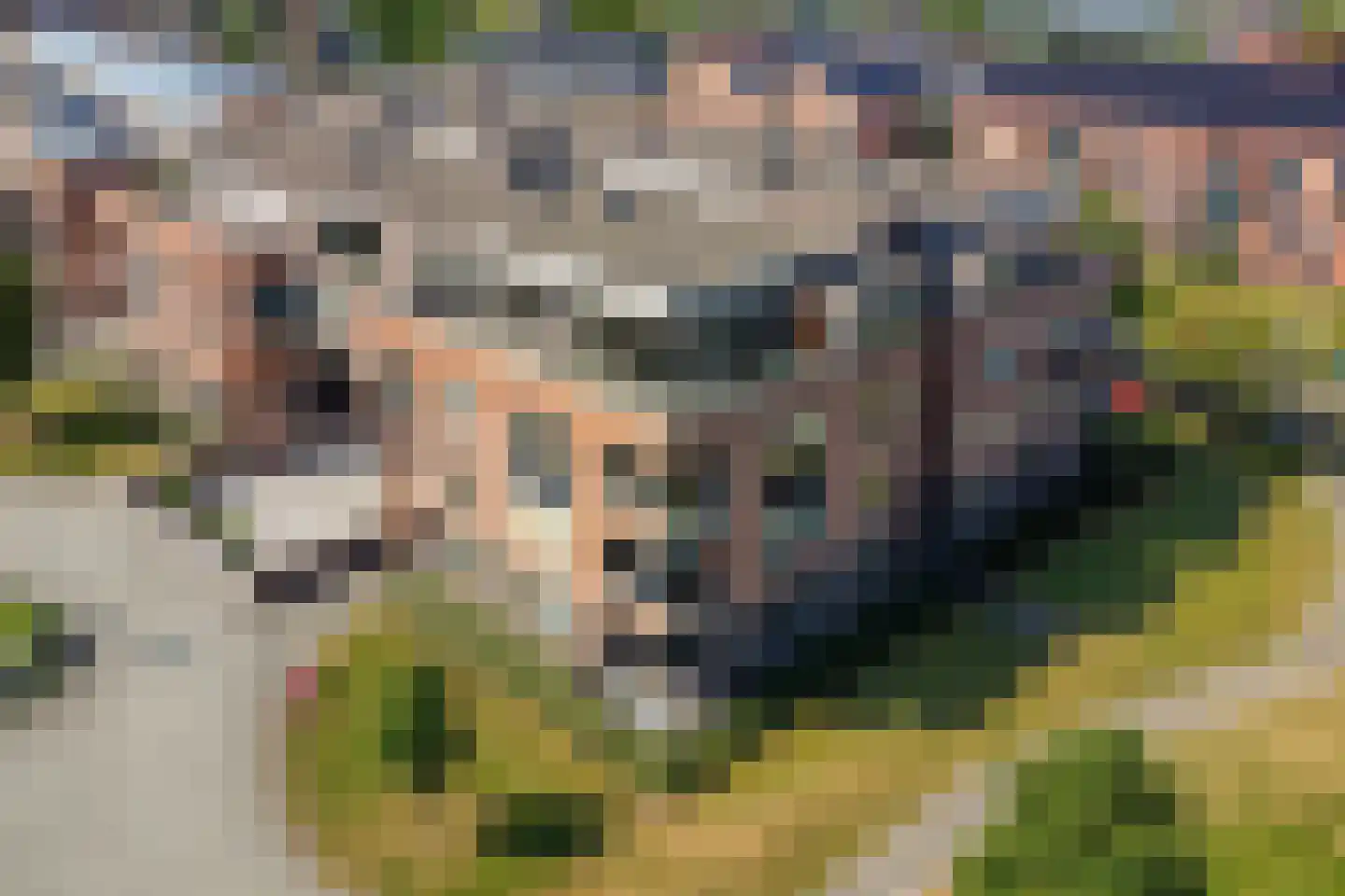 Hofstaete 131 Herveld thumbnail 10