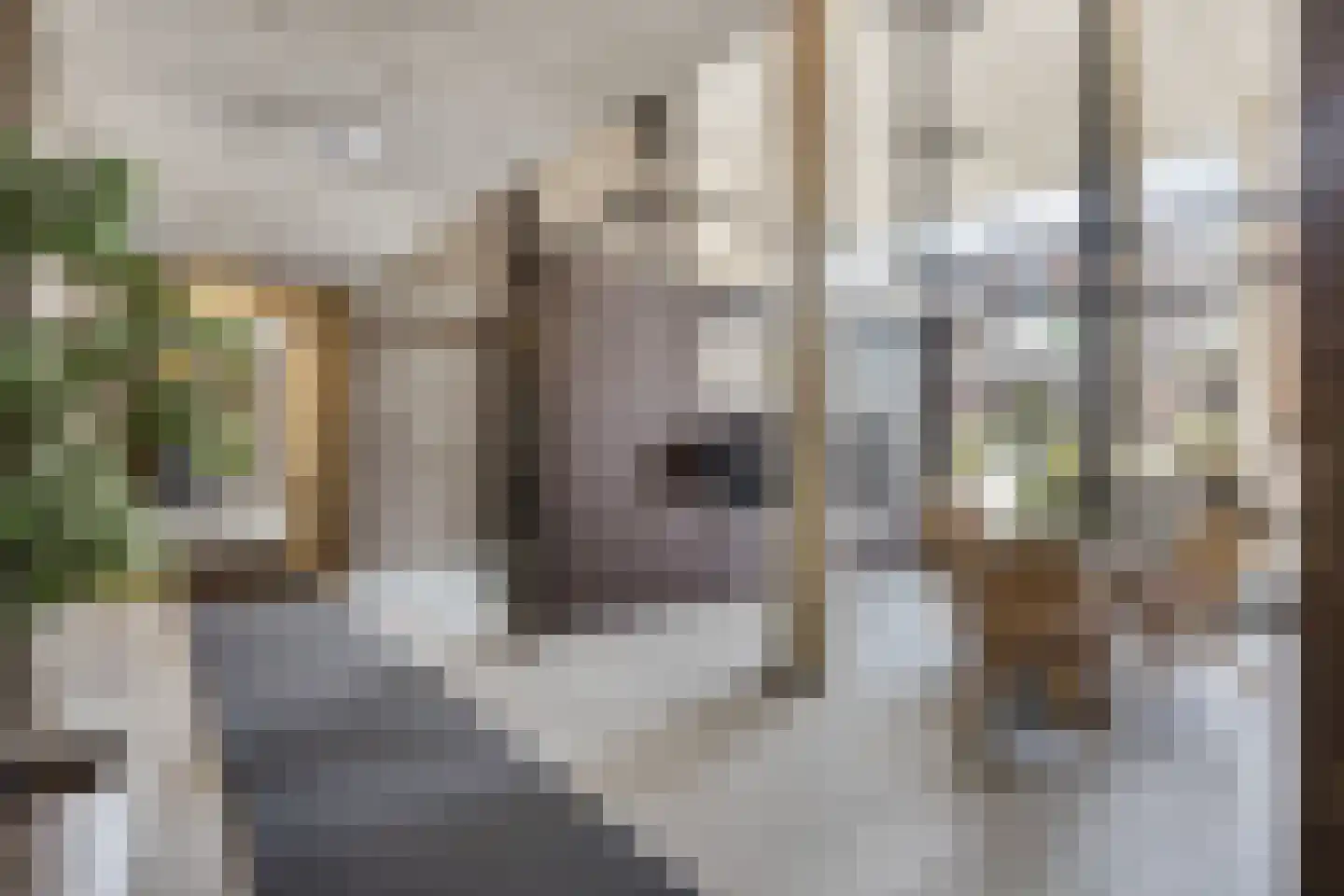 Hofstaete 131 Herveld thumbnail 12