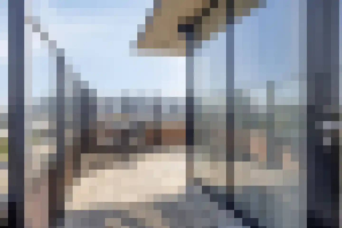 Hofstaete 131 Herveld thumbnail 32