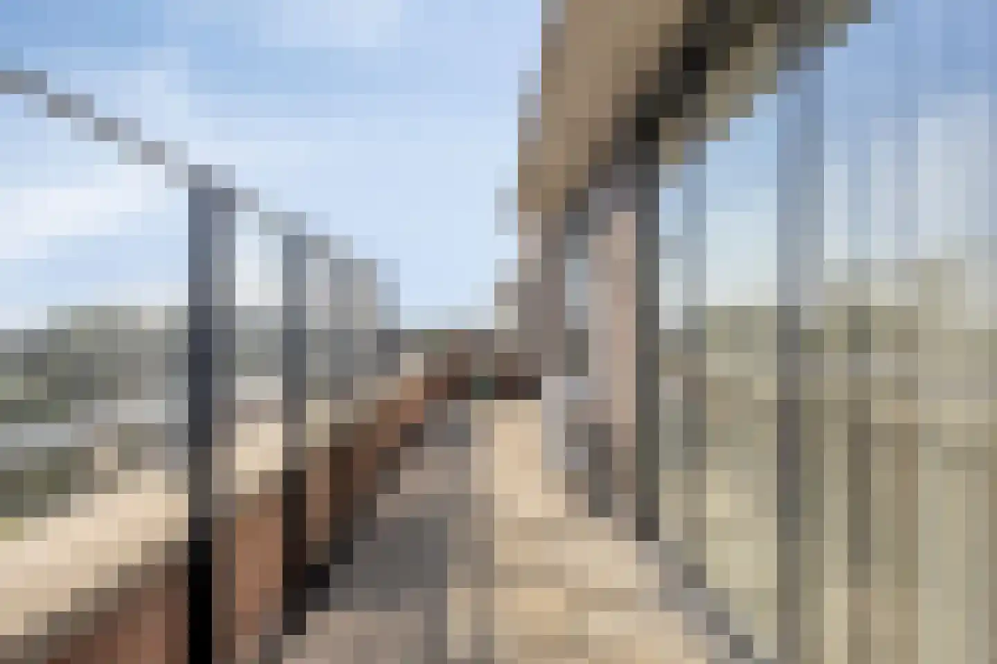 Hofstaete 131 Herveld thumbnail 33