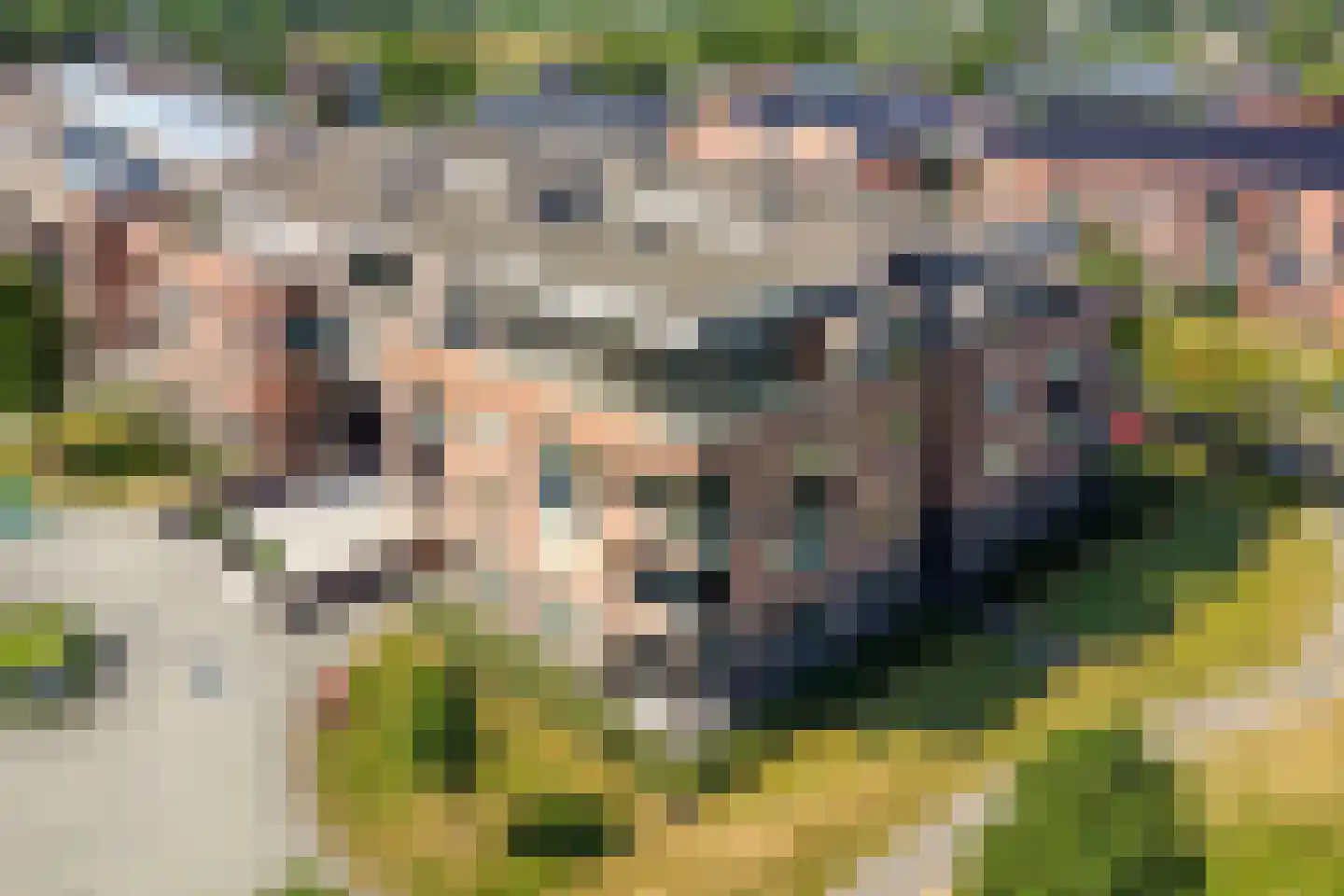 Hofstaete 131 Herveld thumbnail 39
