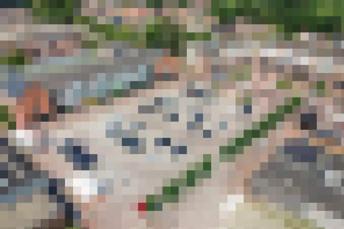 Hofstaete 131 Herveld thumbnail 42