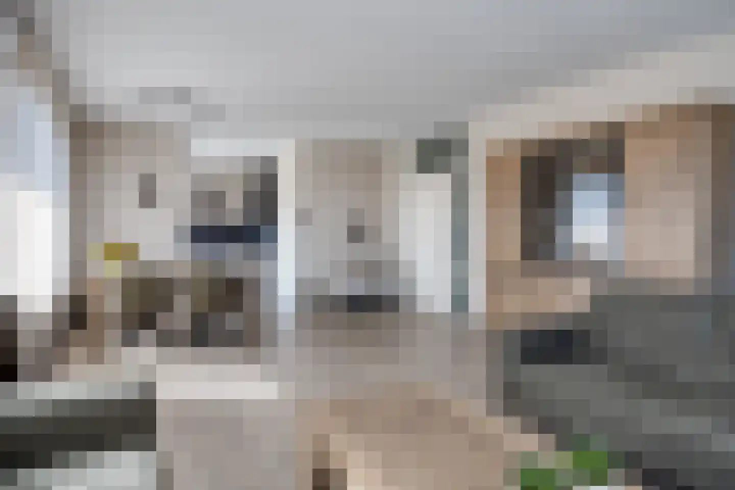 Hofstaete 131 Herveld thumbnail 7