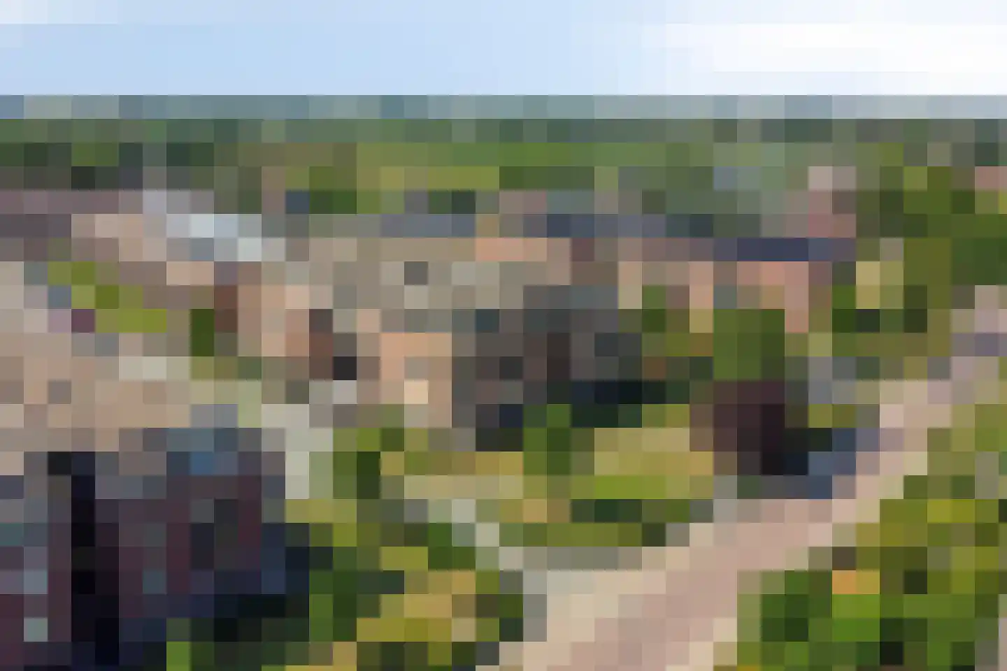 Hofstaete 131 Herveld thumbnail 9