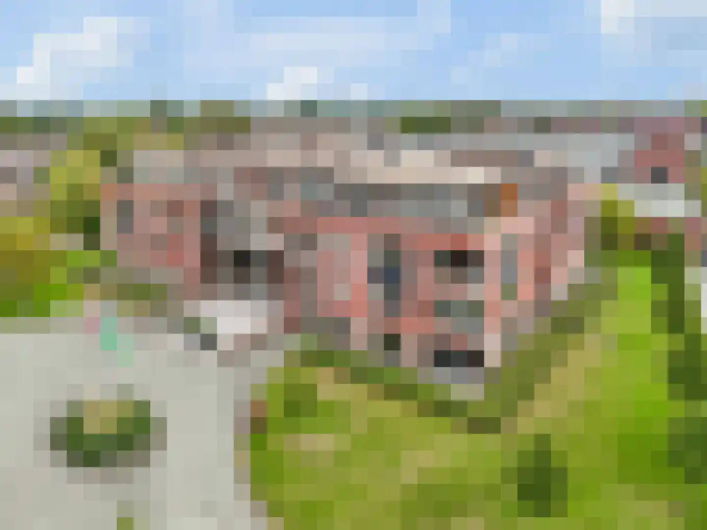 Hofstaete 179 Herveld thumbnail 5