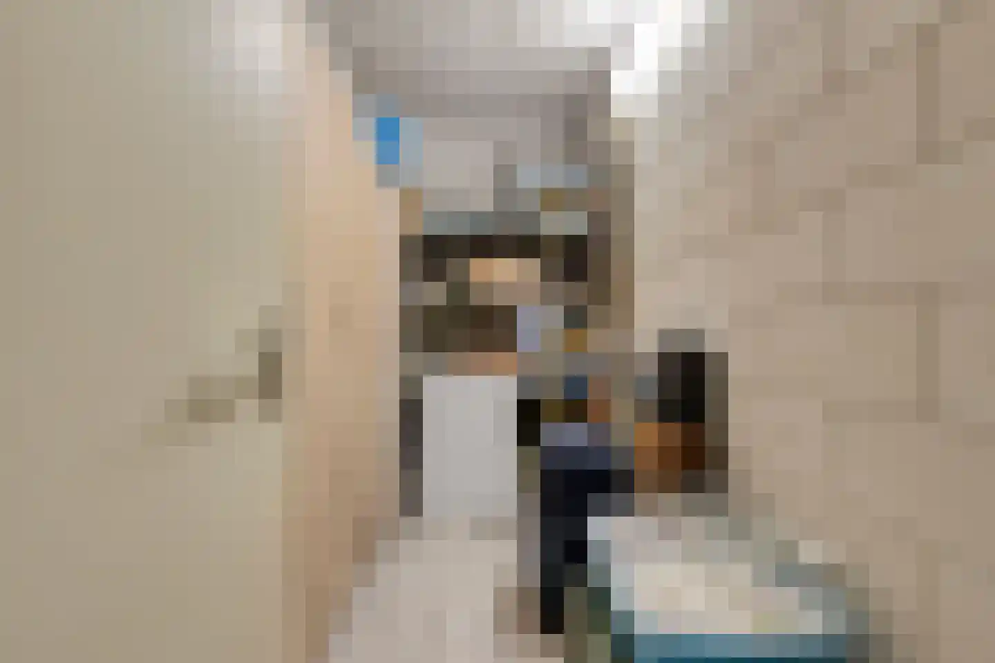 Hofstaete 35 Herveld thumbnail 41