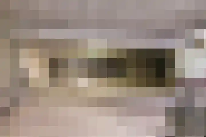 Hofstaete 47 Herveld thumbnail 41