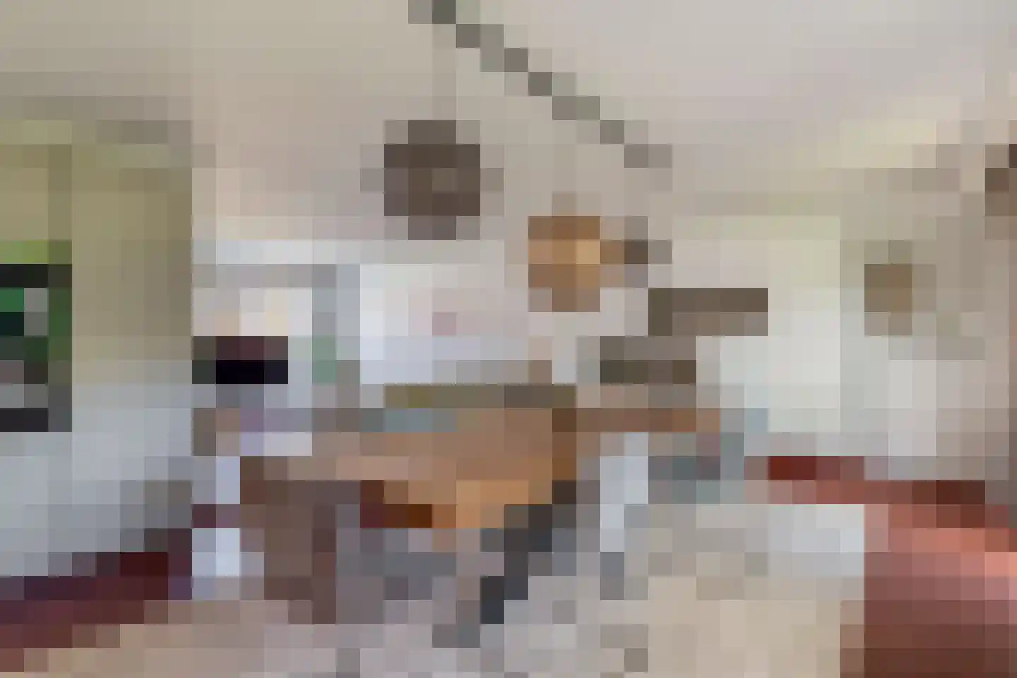 Hofstede 11 Deurne thumbnail 28