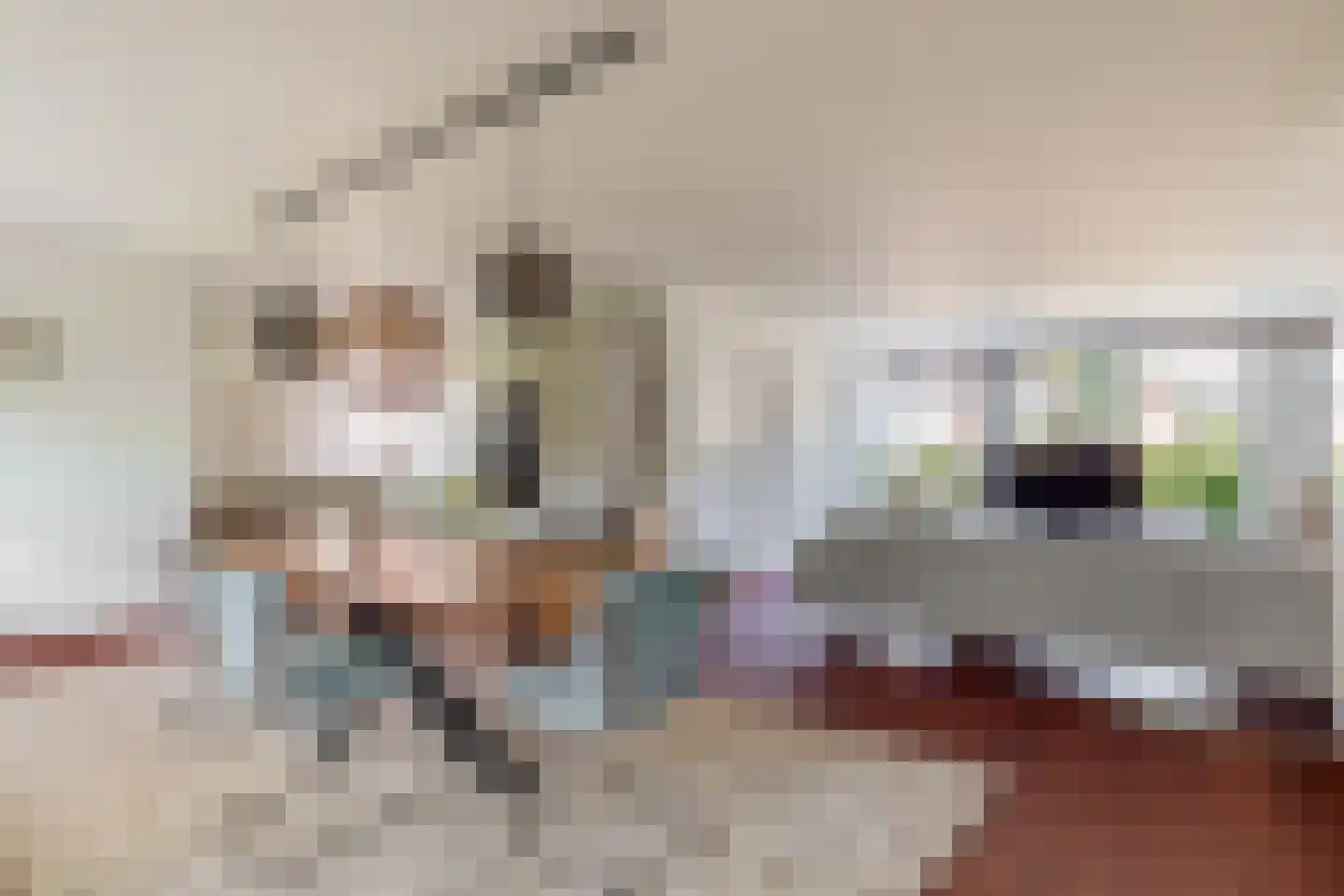 Hofstede 11 Deurne thumbnail 5