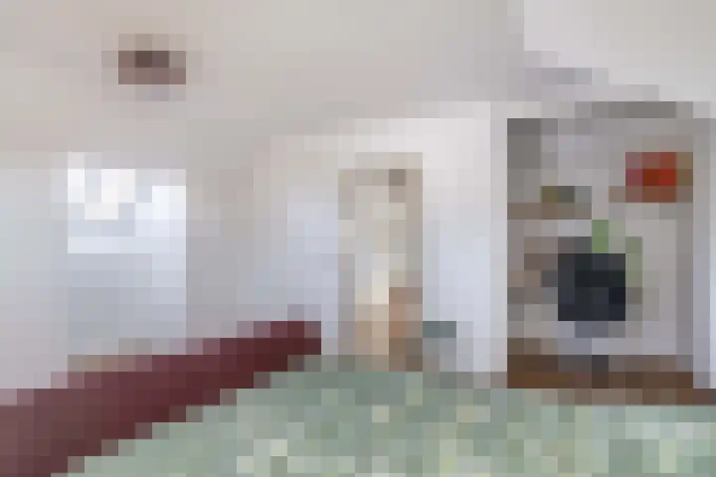 Hofstede 11 Deurne thumbnail 51