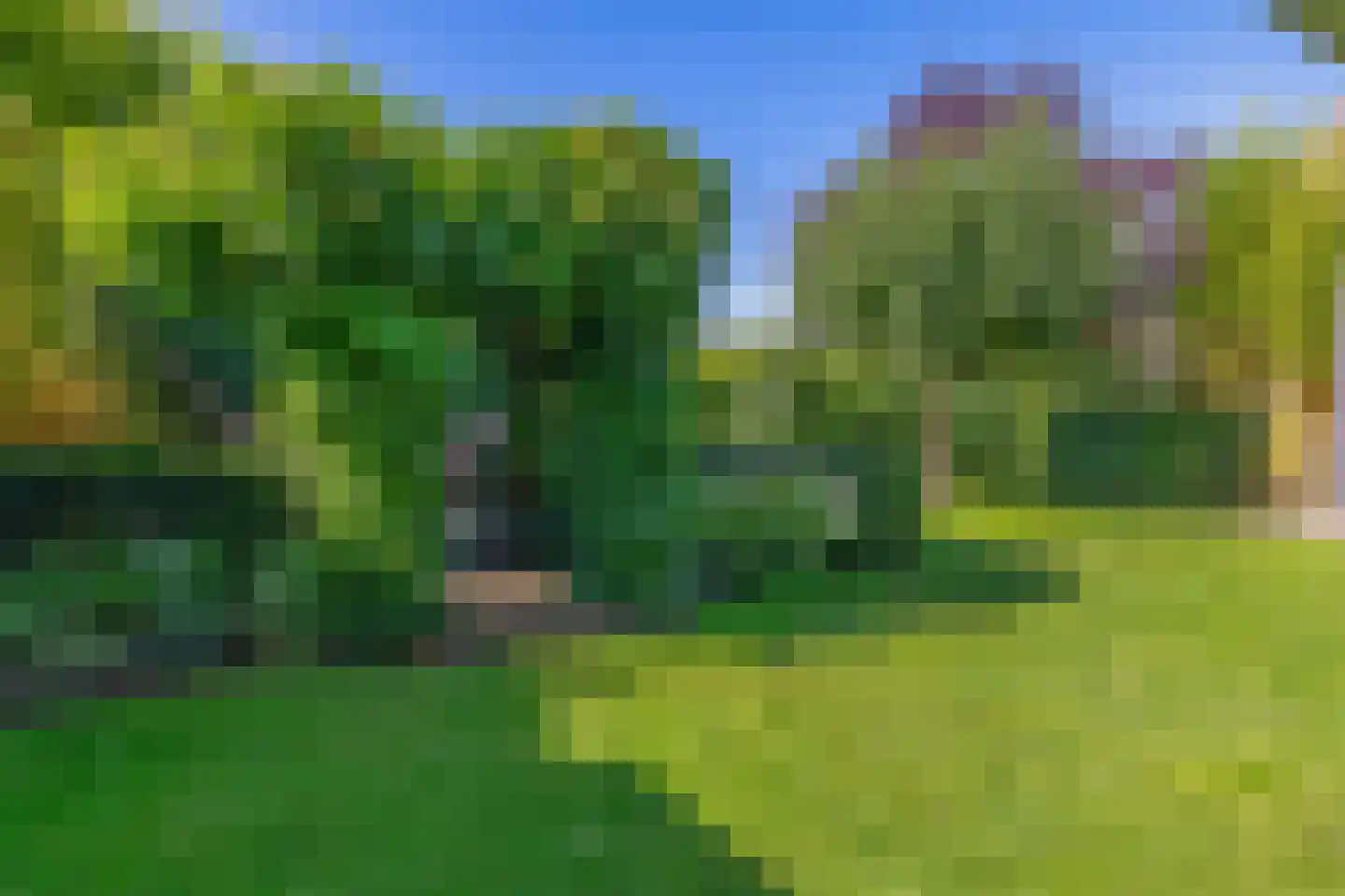 Hofstede 11 Deurne thumbnail 63