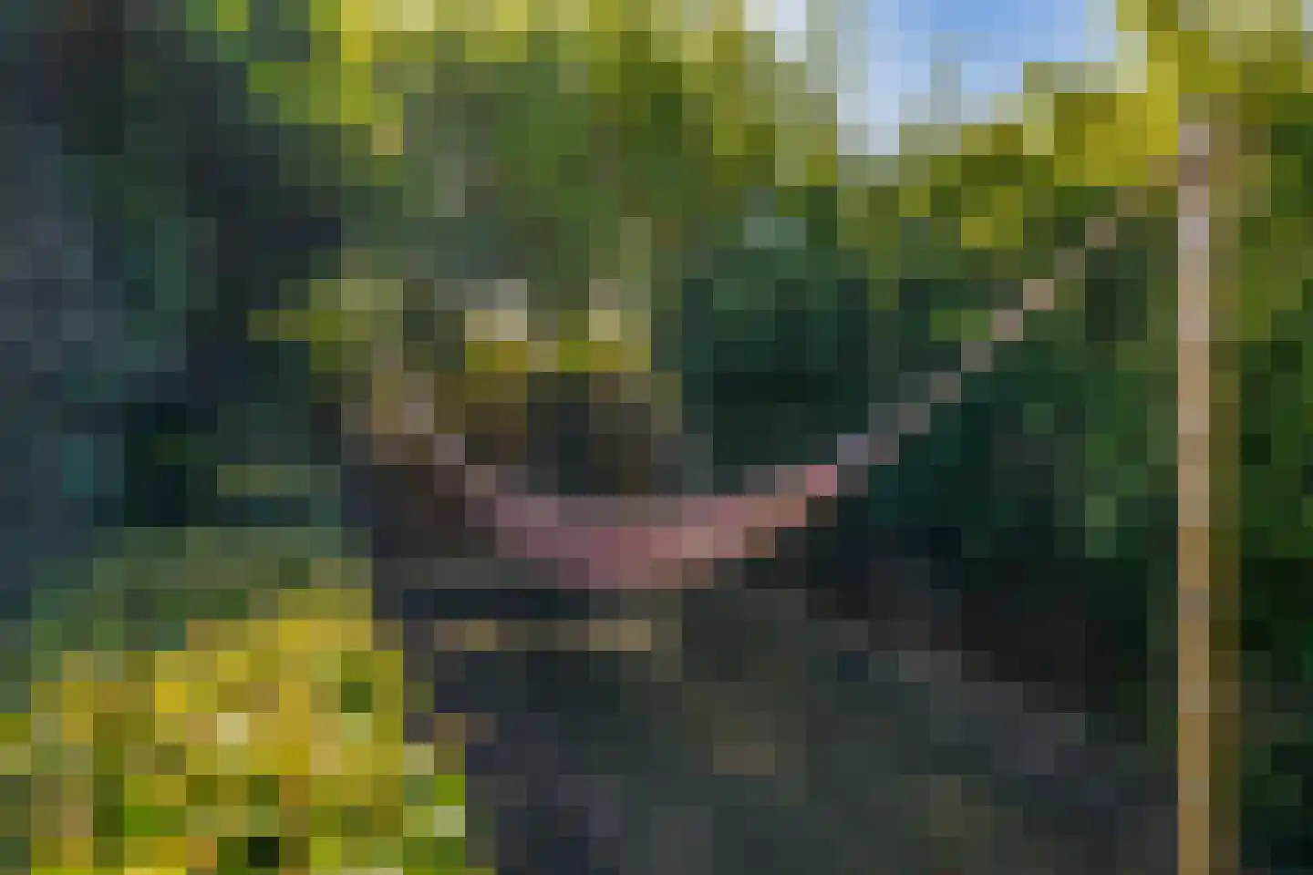 Hofstede 11 Deurne thumbnail 64