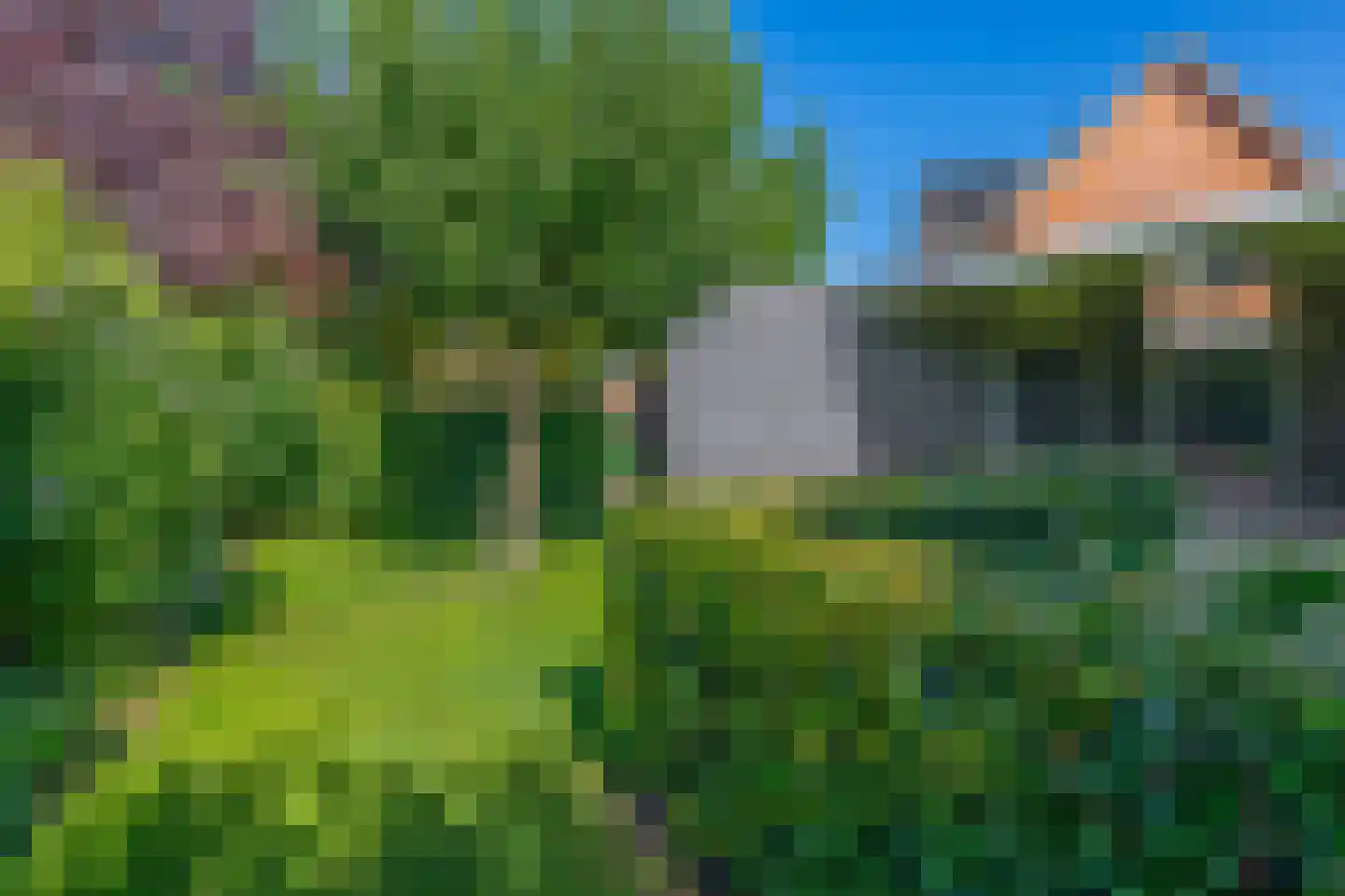 Hofstede 11 Deurne thumbnail 65
