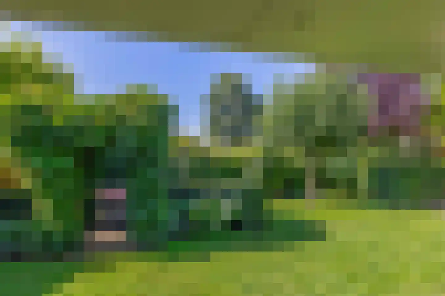 Hofstede 11 Deurne thumbnail 66