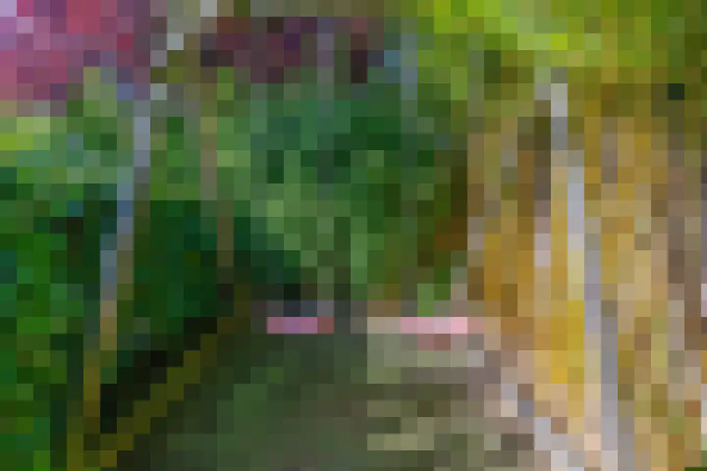 Hofstede 11 Deurne thumbnail 67