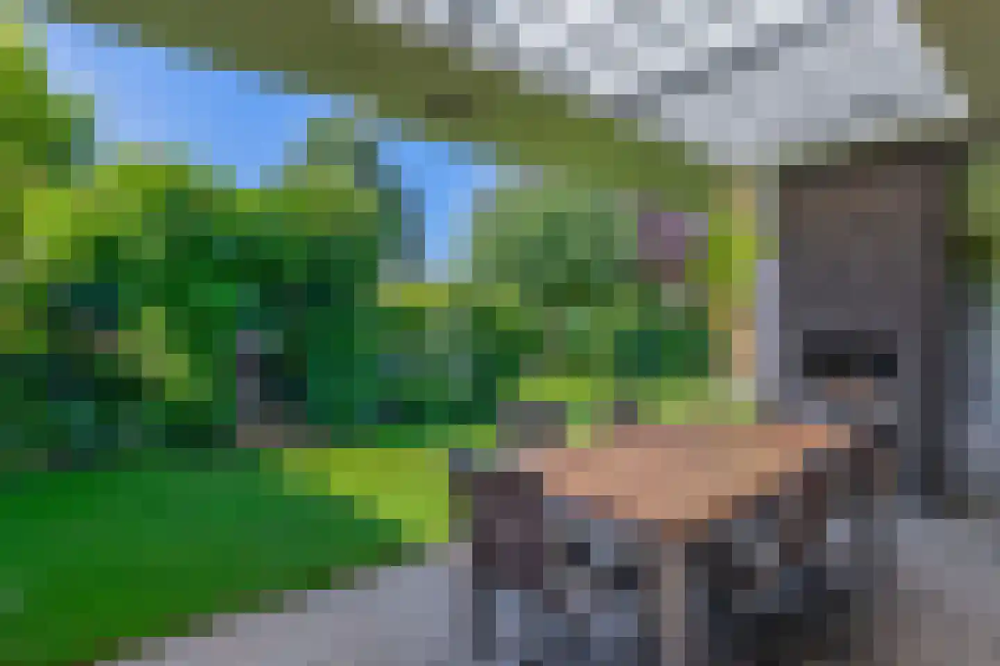 Hofstede 11 Deurne thumbnail 69