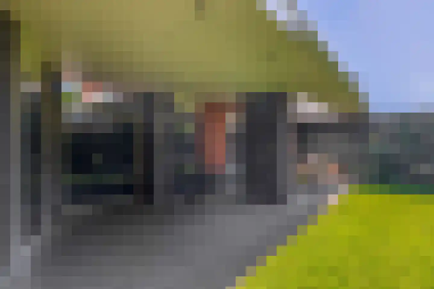 Hofstede 11 Deurne thumbnail 71
