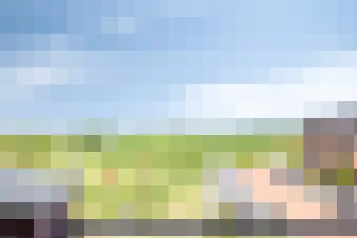 Hofstede 11 Schagerbrug thumbnail 16