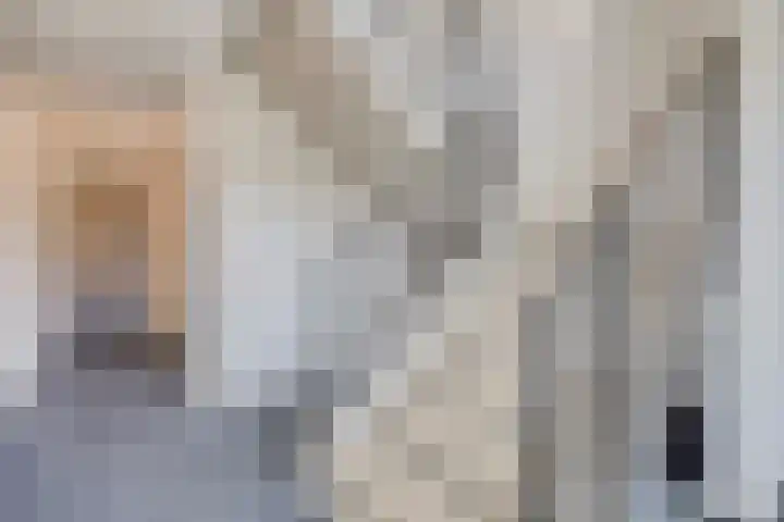 Hofstede 11 Schagerbrug thumbnail 8