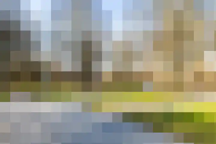 Hofstede 146 Lelystad thumbnail 74