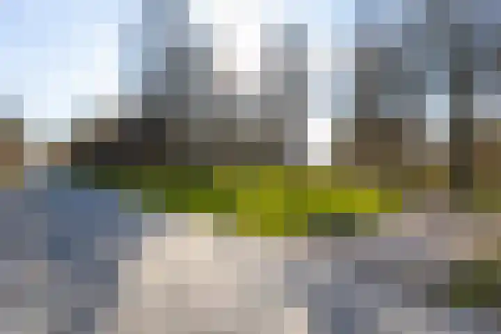Hofstede 146 Lelystad thumbnail 75