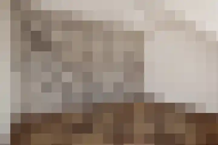Hofstede 15 Berlicum thumbnail 32