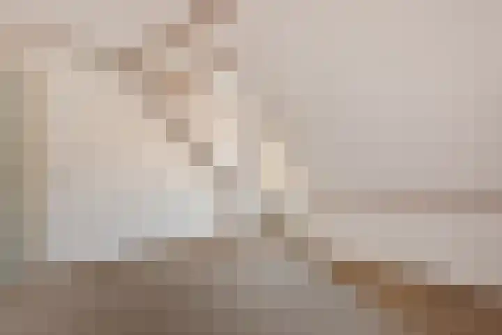 Hofstede 15 Berlicum thumbnail 35