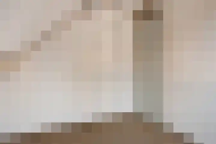 Hofstede 15 Berlicum thumbnail 38