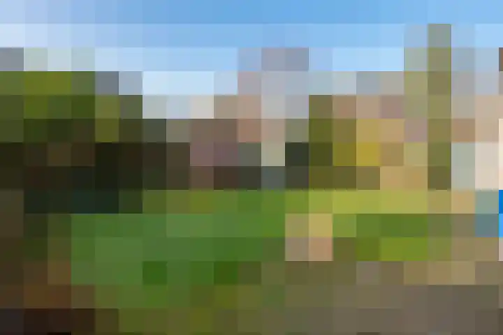 Hofstede 15 Berlicum thumbnail 4